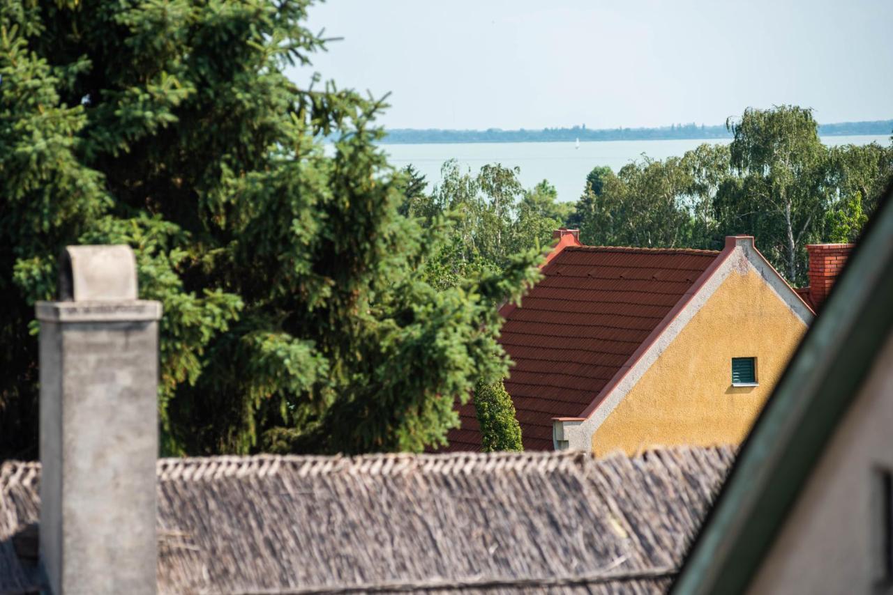 Katzer Villa Бадачоньтёрдемиц Экстерьер фото