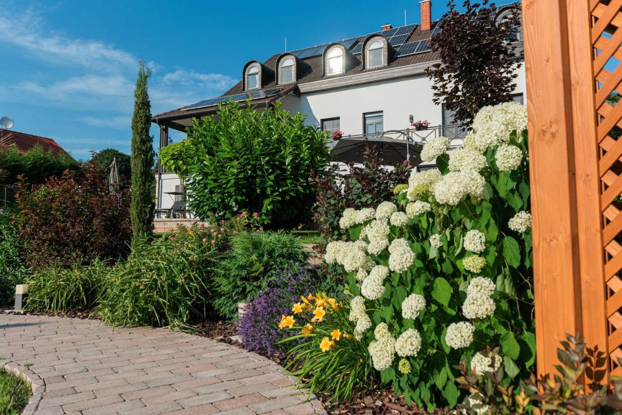 Katzer Villa Бадачоньтёрдемиц Экстерьер фото